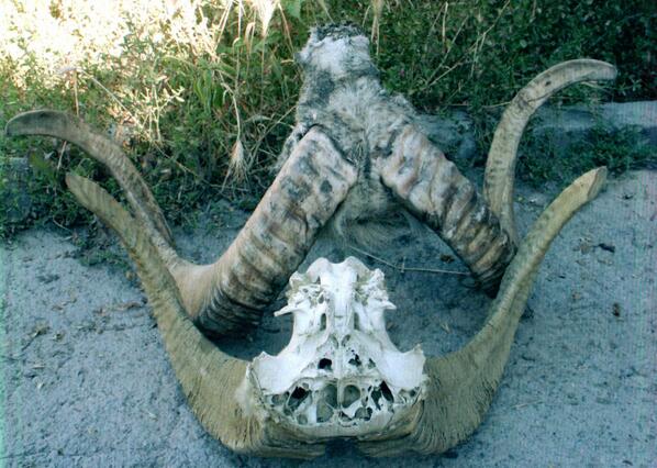 Таможня КР tweet media