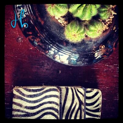 Strike up a conversation with this sexy zebra male wallet. #Prioritymale