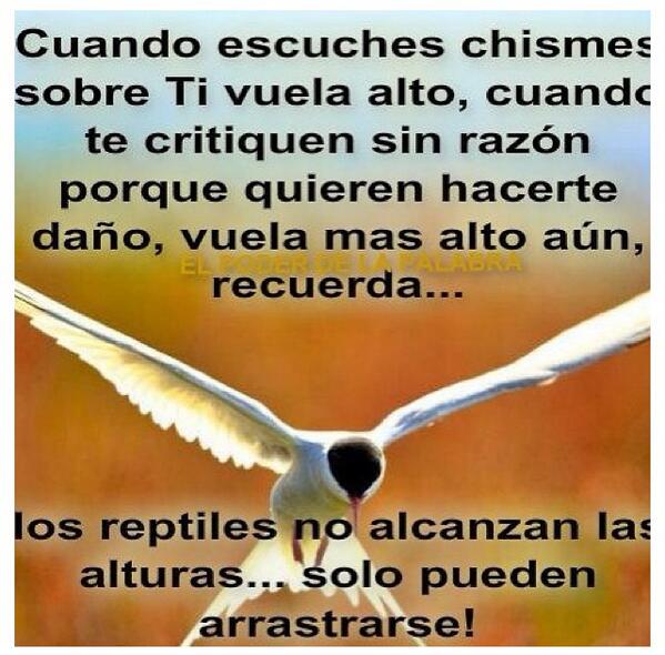 Zuleyka_Rivera's tweet photo. Como las #Águilas... http://t.co/l83J3qsv2k