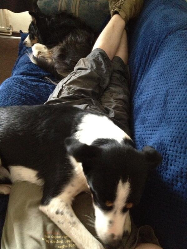 getting_help's tweet image. Standard afternoon nap position!