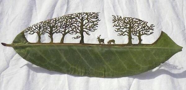 This leaf carving is incredible.