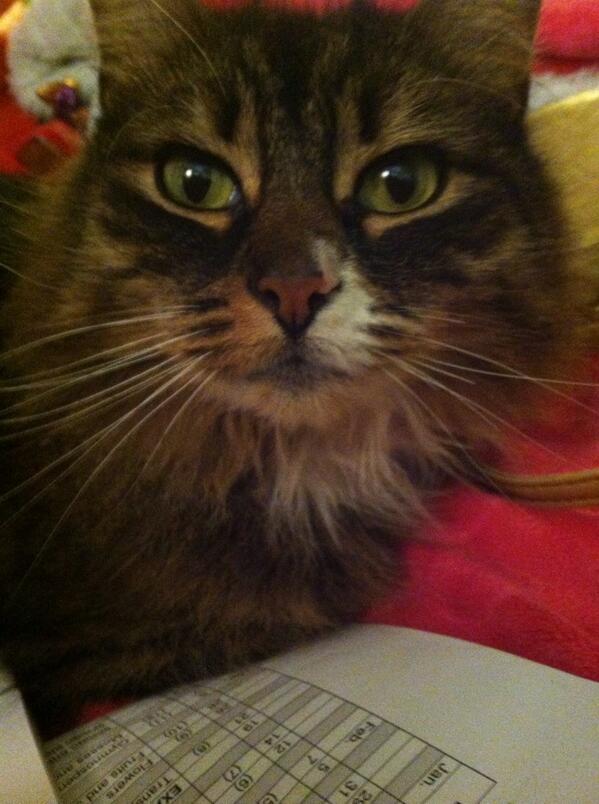 KittenMittensXO's tweet photo. @msabz5 @destinymarcello @JGrizzetti @alexa_tribbs make that 7 http://t.co/ycrPVCMmc6