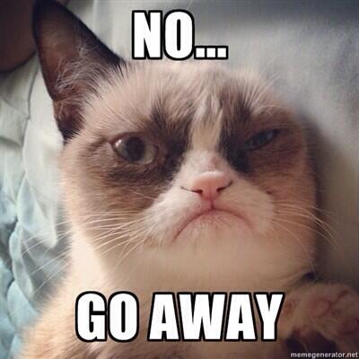 MennoniteTabby's tweet photo. Trevor doesn't want lolcats? #tweetGodsreign http://t.co/W4PYqjwkPd