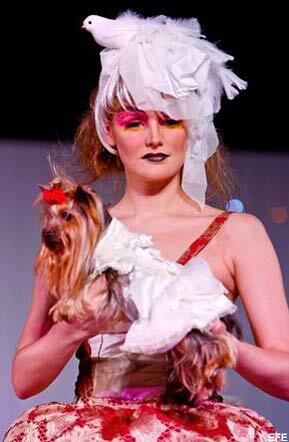 lunaymascotas's tweet photo. Semana de la moda canina tokio http://t.co/m95AgDYtCZ