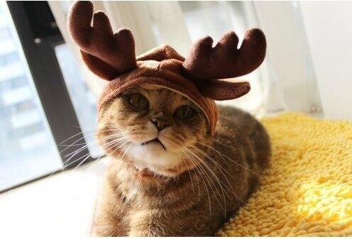 w_o_com's tweet photo. http://t.co/791oWSuaw2