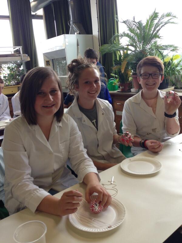 DeansfieldSci's tweet photo. Excellent trepanning here http://t.co/yFgvg6Jpds