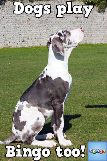 Lady Precious tweet media