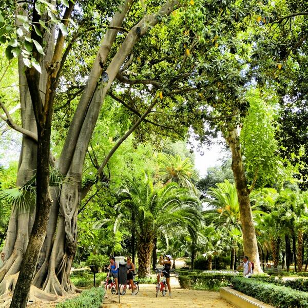 Parque María Luisa #Spain #Seville #travel #trip #traveling #Tourism #turismo #picture #Brasil #culture #photo #pic