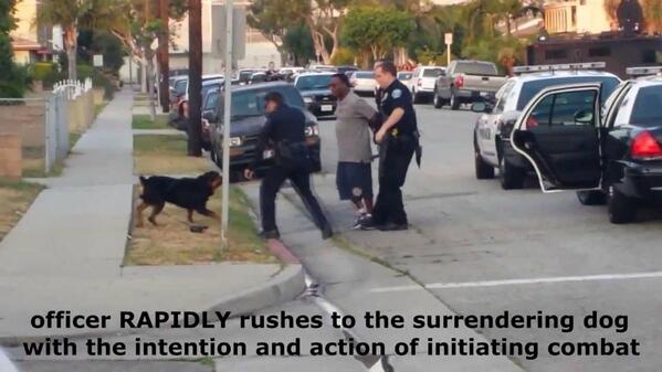 CopsKillingDogs's tweet image. @HawthornePD #HawthornePD #Police