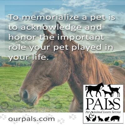 PALSINC's tweet image. #pets #memorial #PALS #petcremation #rainbowbridge