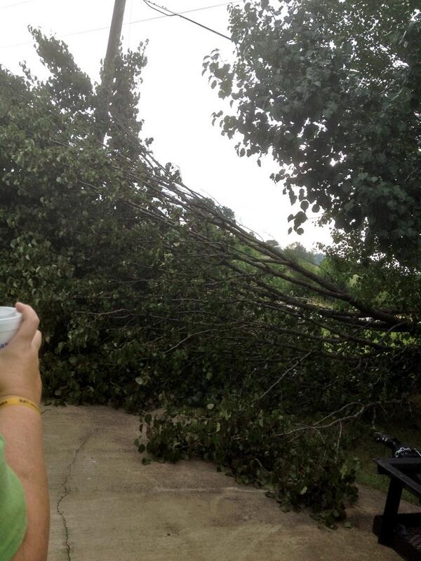 squirtjojo1022's tweet image. #giganticthinginmyway #treefell #storm #whyyoudothis #ratchetlookinanyway #wtfyourproblem