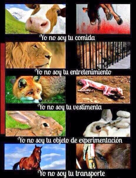 ComunidadGaia's tweet photo. #VivoEnUnMundoDonde el humano piensa que es el dueño de todo y puede usarlo a voluntad. #BastaAntropocentrismo http://t.co/bVbhtuScbN