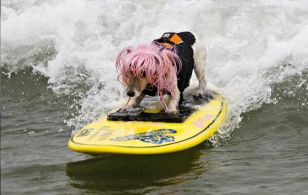 Bagasslil's tweet photo. One of the groms for Bag ass lil, out for a morning surf.#nextgeneration http://t.co/pgAdMDnZtA