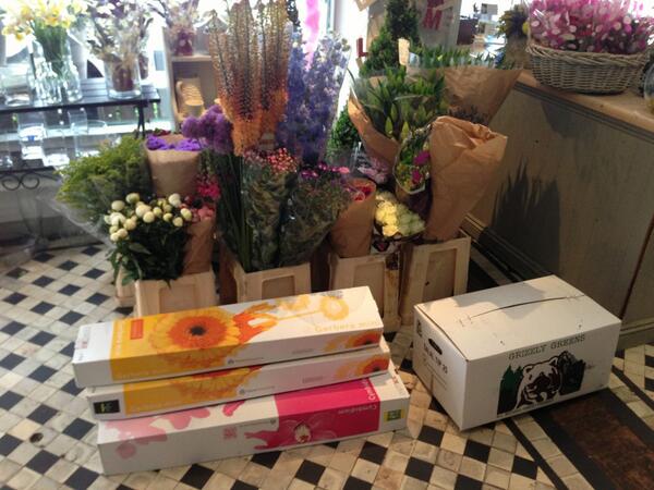 Delivery direct from the Dutch auctions! Now to get it cut and conditioned then on the stand !