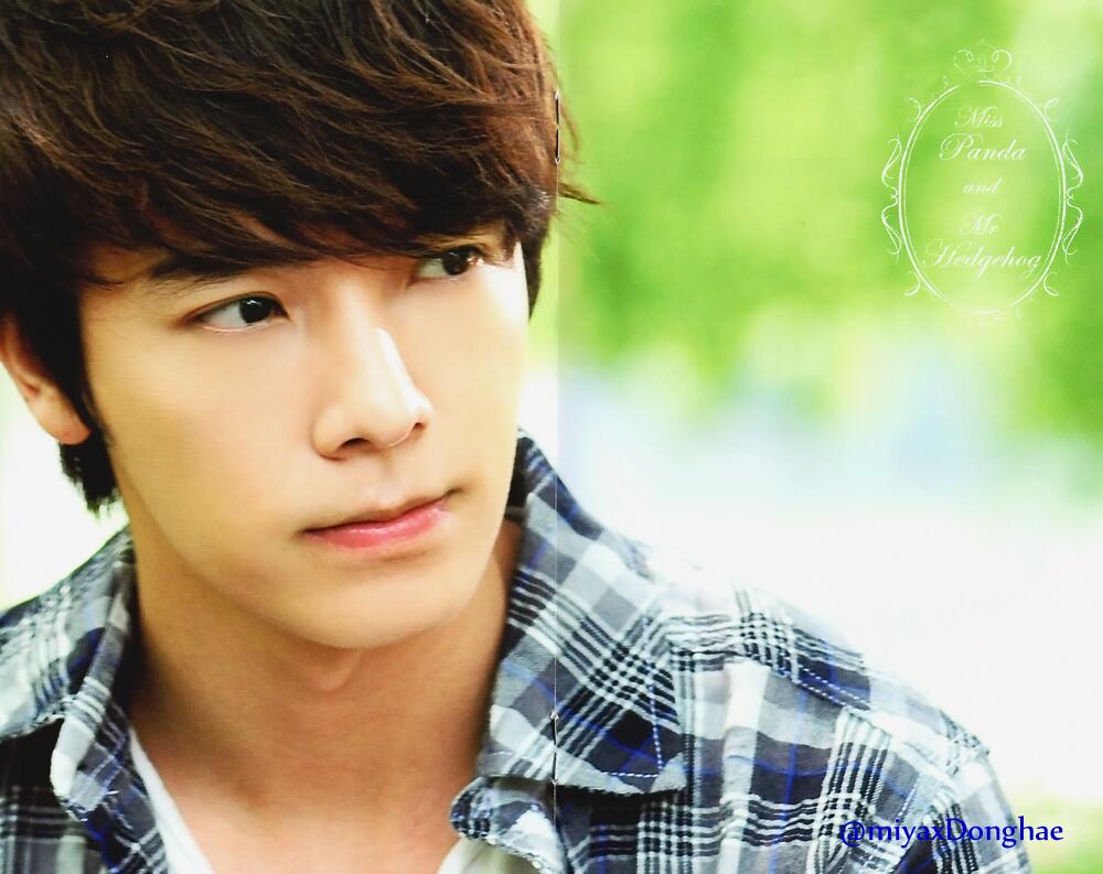 [HD/SCAN] Miss Panda and Mr. Hedgehog DVDSet – Donghae [3P] – SpeciAll ...