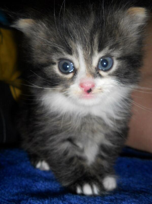 w_o_com's tweet photo. Photo from our follower http://t.co/4Isvik9B30