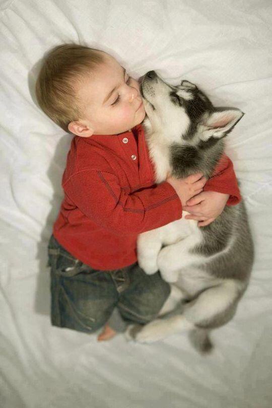 Cek fav! ☺ (@knitcollect) on Twitter photo 