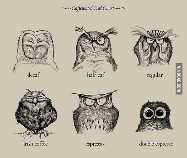 9GAG's tweet photo. The wonderful world of coffee explained by owls http://t.co/oZWqxQ6ptG