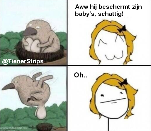 TienerStrips's tweet photo. Haha, ongemakkelijk.. - http://t.co/pr7dXxwRCi