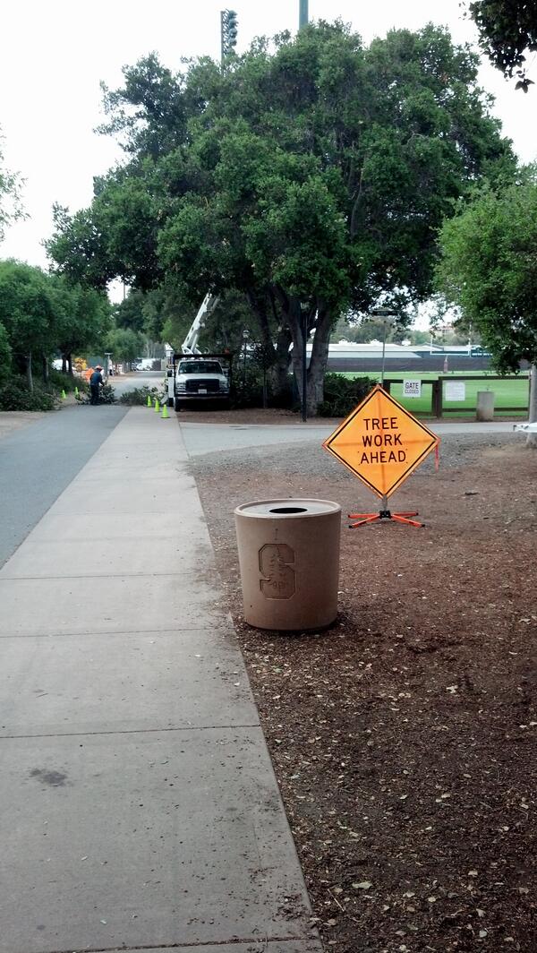 Bguymon22's tweet image. #gostanford