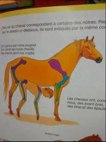 BOQ_OVqCEAEbkMt.jpg:large