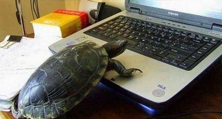 AuricTones's tweet image. Perfect User....For Internet Explorer