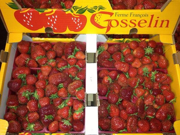 CImportExport's tweet image. Wow les fraises de Gosselin