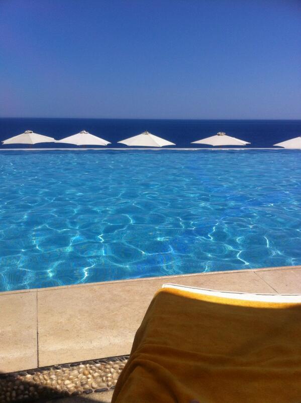 ReefOasisBlueBay tweet media