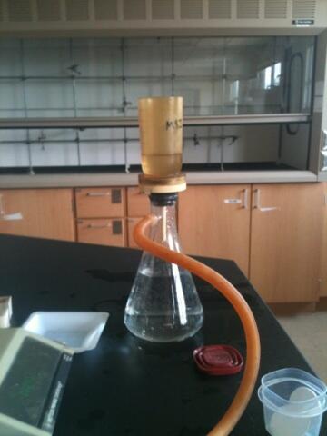 MountainStudiesInst. tweet media