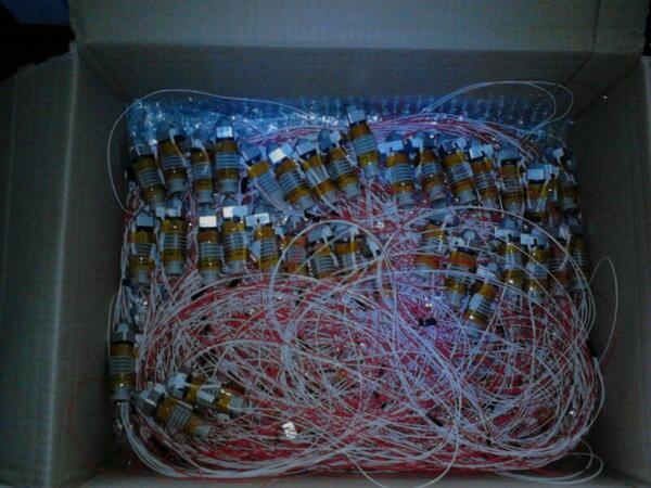 [Imagen: BORf6asCQAA254v.jpg]