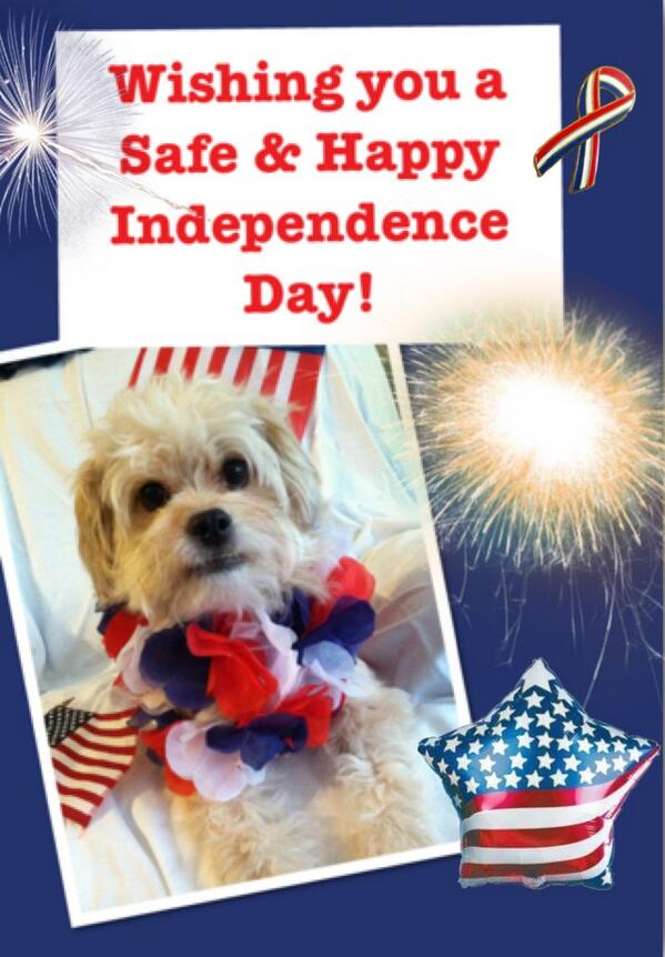 reno_dog's tweet photo. @FitnessProFan @Flipinista @lethemknow How cute is that!!!! Wishing you a safe &amp; happy Independence day!!! woof woof http://t.co/rQj7sSrySu