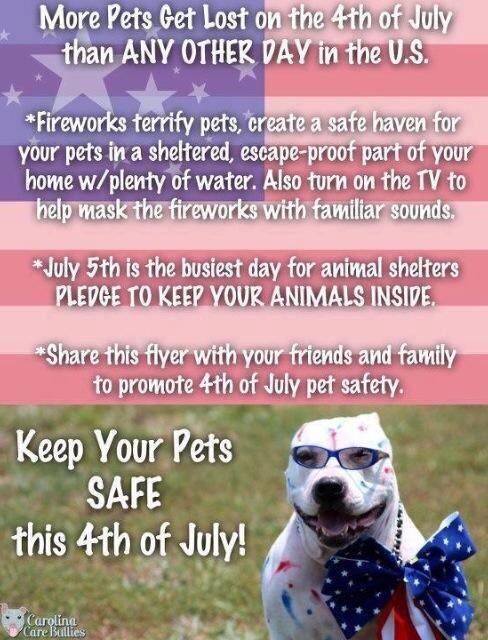 carolina coonhound  tweet media