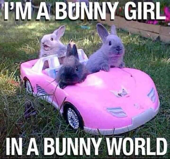 <3 @MissAshleyDoris @TheMissKristen @MissValKeil @MissAlyssaArce @RPomplun @hiromioshima @JaslynOme @PlaymateKhloe