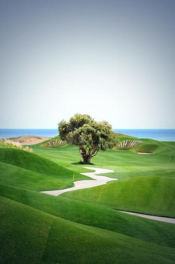 worteldief tweet media