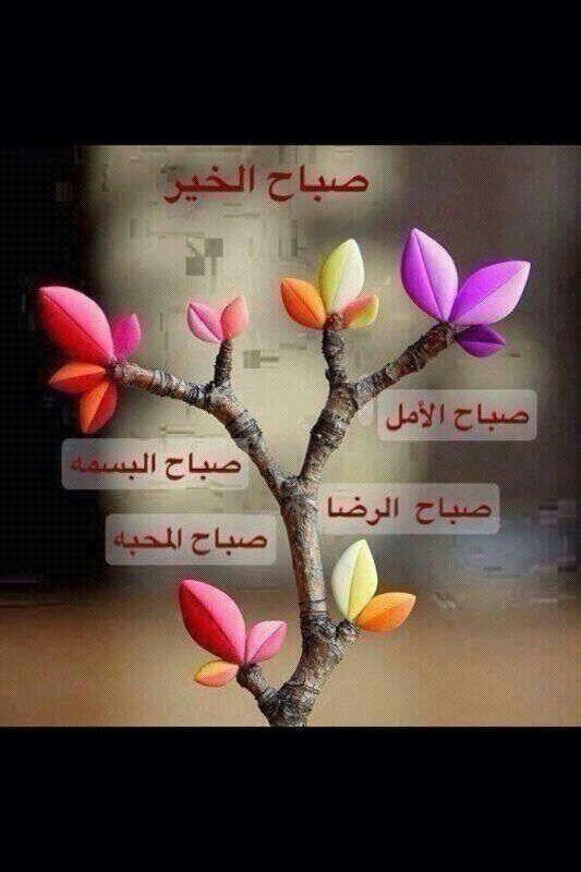GGG__404's tweet photo. صبح صبح http://t.co/tXtw5tRIBQ