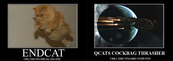 Quantum Cats tweet media