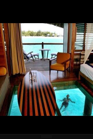 PerushanPerumal's tweet photo. RT if you would love a him like this!! #paradise #beautiful http://t.co/ktn7NjbzFO