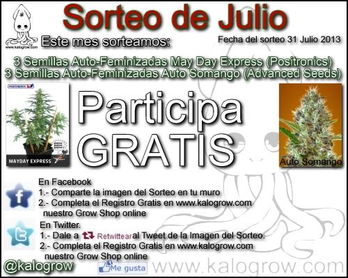 cannabisanto's tweet photo. ►►► ‎#SORTEO DE ‎#JULIO http://t.co/sTXUXyiAG8  Participa en Twitter! LLevate 6 #semillas Auto-Feminizadas http://t.co/OIB9q2KDiV