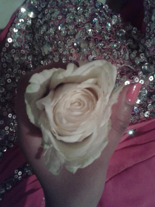 _dips96's tweet photo. How sweet of my form tutor to give us a rose <3 #prom http://t.co/bYmWCZuM3N