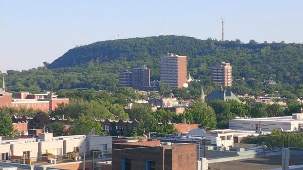 gruntlion's tweet image. #confuscious say people with #altzeimers misunderstood.