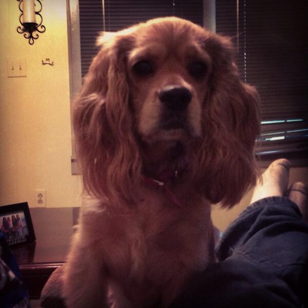 austin_boyd9's tweet photo. #georgiabeggingforfood @mallorymbrown http://t.co/wOVf6nBRZ8