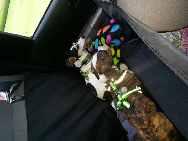 Best friends!