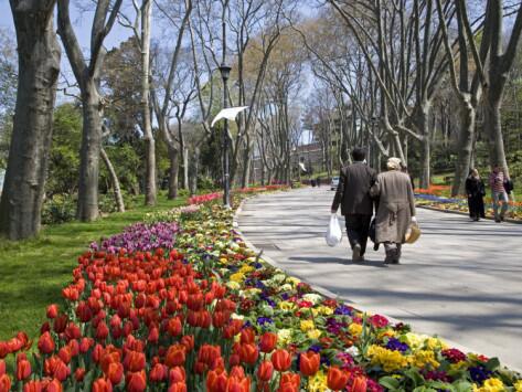 Tulips bloom in Gulhane Park,Istanbul-Turkey Woahhh it so beautiful!!