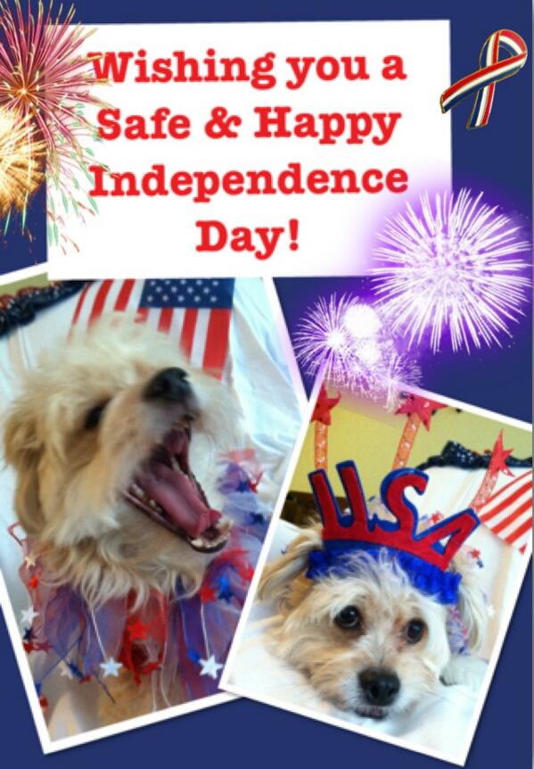 reno_dog's tweet photo. Keep us safe this July 4th!Fireworks cause stress&amp;anxiety 4 us.Keep us home,where we feel secure&amp;safe frm the noises! http://t.co/pNYJA0YQSe