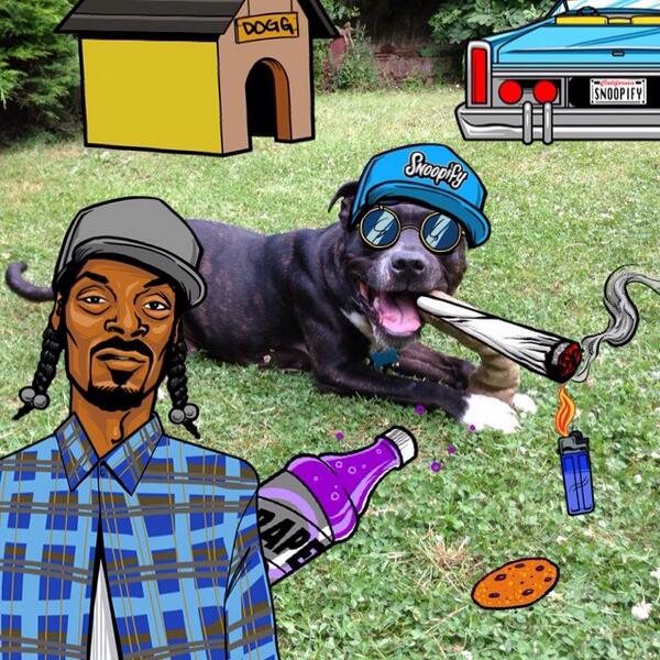 Hangin wiv my pal @SnoopDogg  😄
 #snoopify #staffystyle #snoopdogg #rockdogs