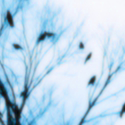 Photo by SIGO DE VOLTA FC NEW (@ForLoveIsEasy)