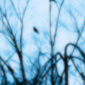 Photo by SIGO DE VOLTA FC NEW (@ForLoveIsEasy)