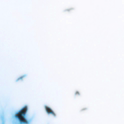 Photo by SIGO DE VOLTA FC NEW (@ForLoveIsEasy)