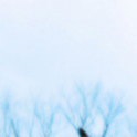 Photo by SIGO DE VOLTA FC NEW (@ForLoveIsEasy)