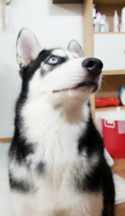 niceseonju's tweet photo. 내 새끼. 무럭무럭 누나랑 같이 자라는거야. 괜찮아, 우리. 힛. http://t.co/jY7HIMlevJ